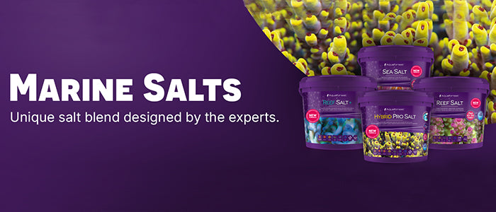 Marine Salt
