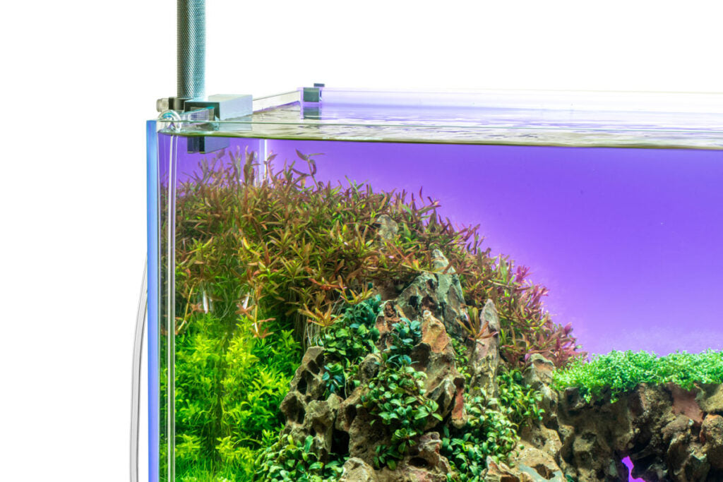 UNS Atmos Aquarium Light Background