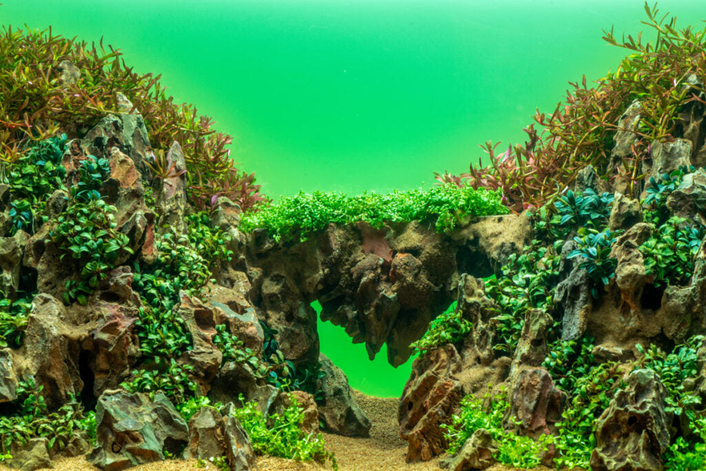 UNS Atmos Aquarium Light Background