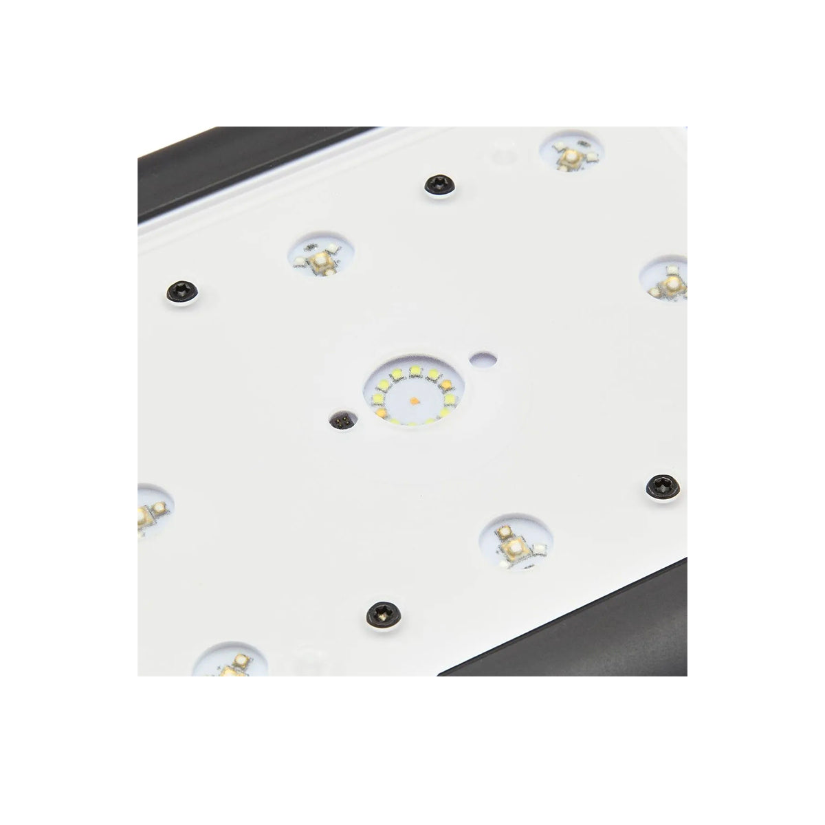 AI Hydra Edge 44HD LED - Reef