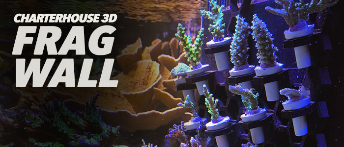 Charterhouse 3D Frag Racks & Accessories
