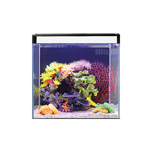 Aqua One NanoReef 35 Aquarium