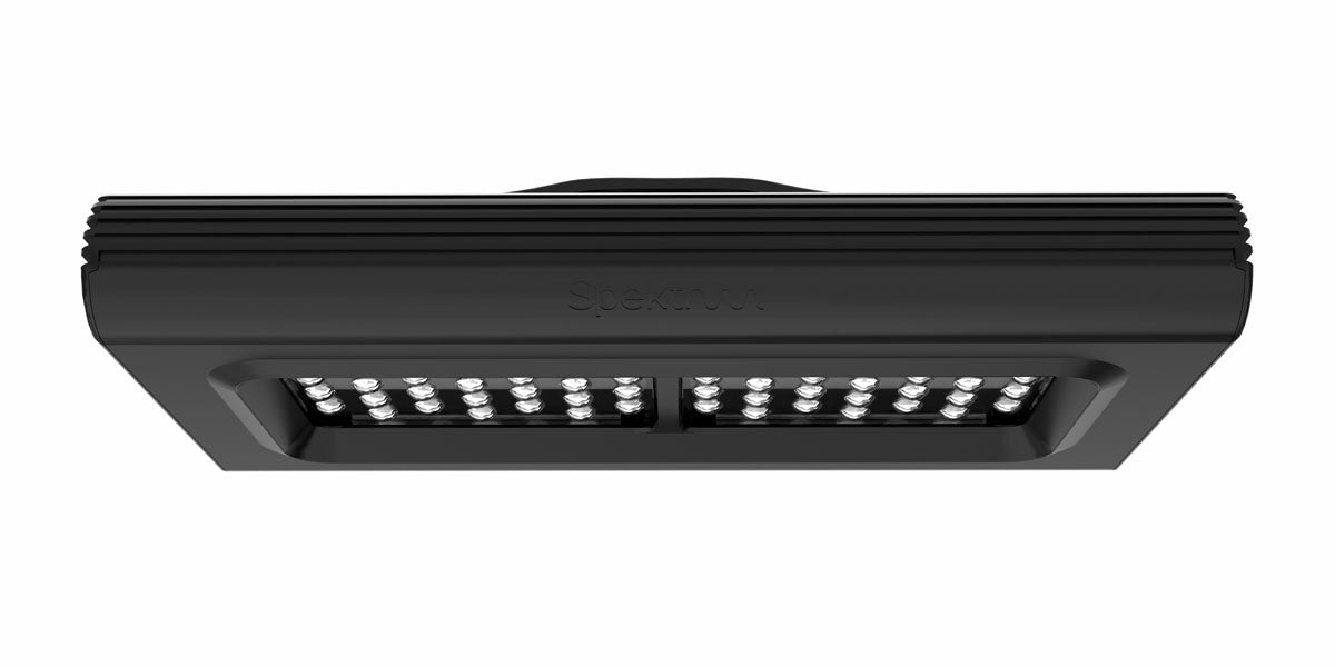 D-D Spektrum LED Light