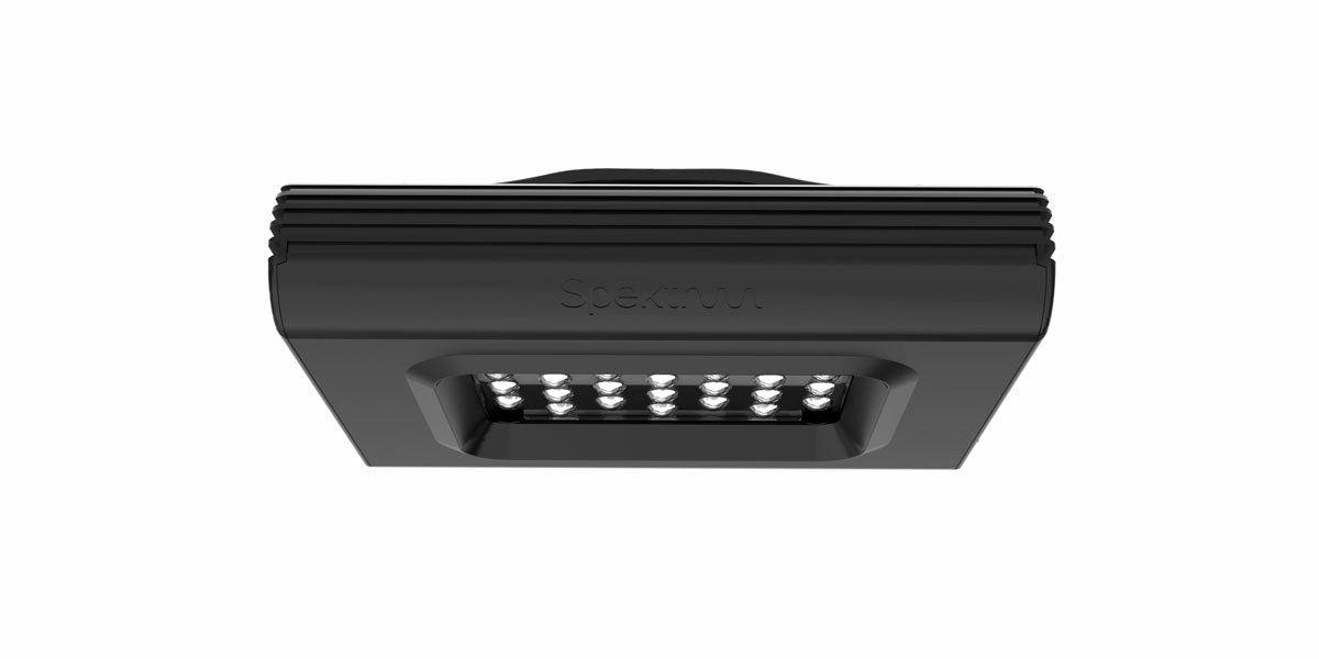 D-D Spektrum LED Light