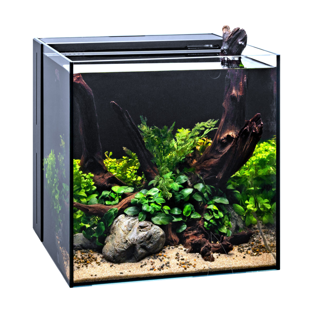 UNS Dual All-In-One 30A Cube Aquarium – 7 Gallon Rimless Tank