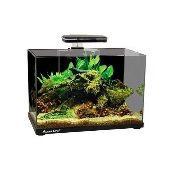 Aqua One Focus 36 Aquarium - Charterhouse Aquatics
