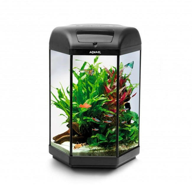 Aquael Hexa Set 60 Aquarium - Charterhouse Aquatics