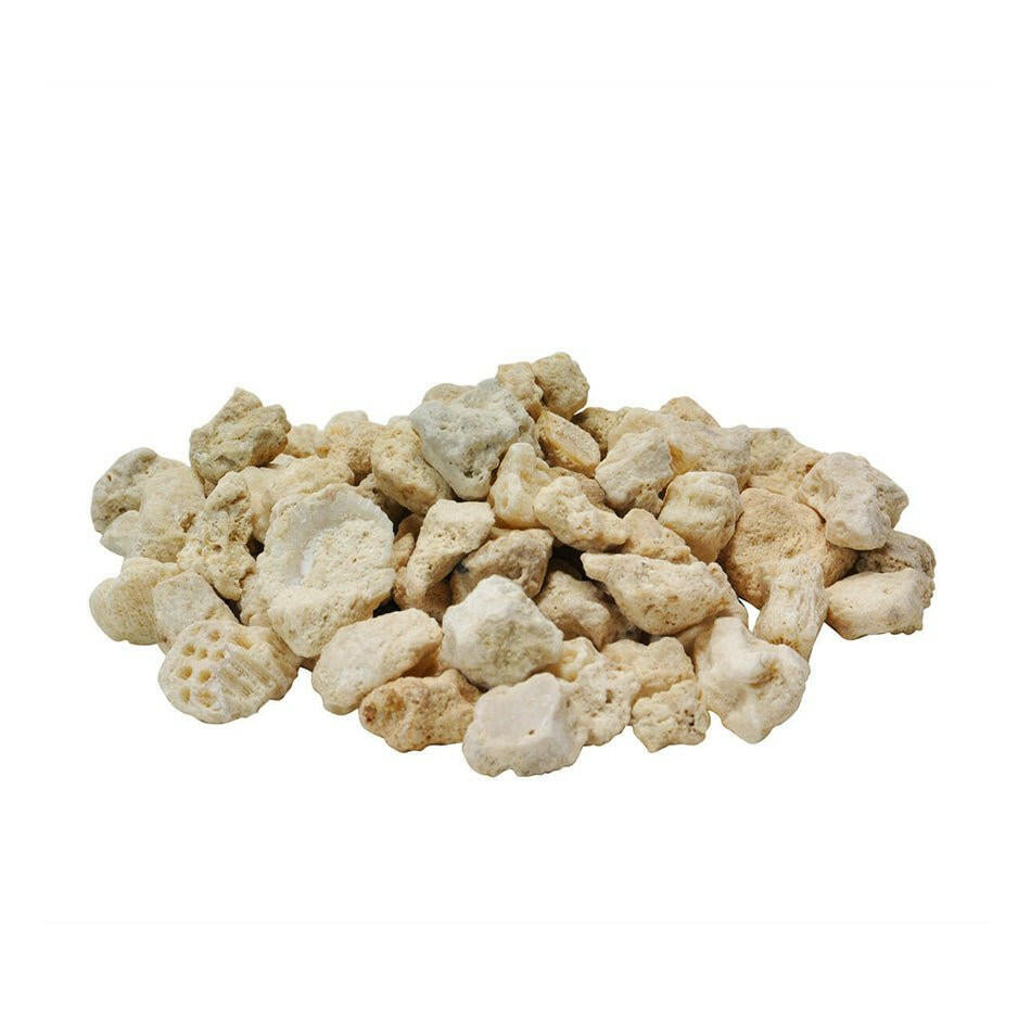 Caribsea A.R.M Extra Coarse 1 Gallon - Charterhouse Aquatics