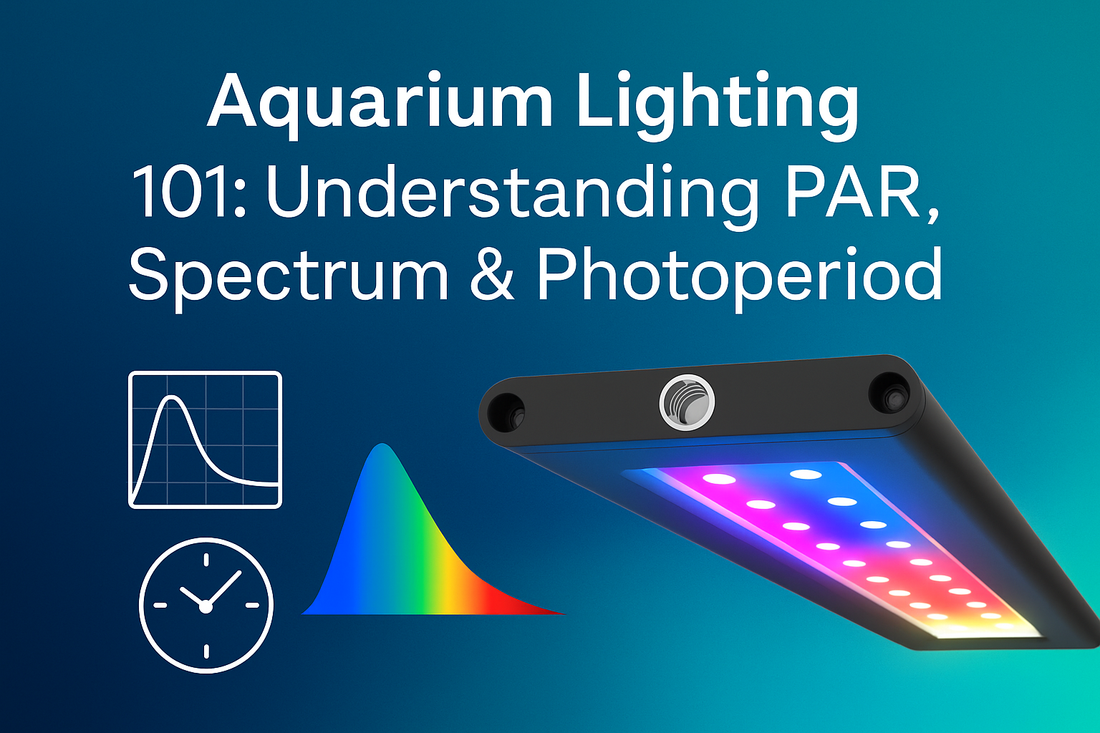 Aquarium Lighting 101: Understanding PAR, Spectrum & Photoperiod