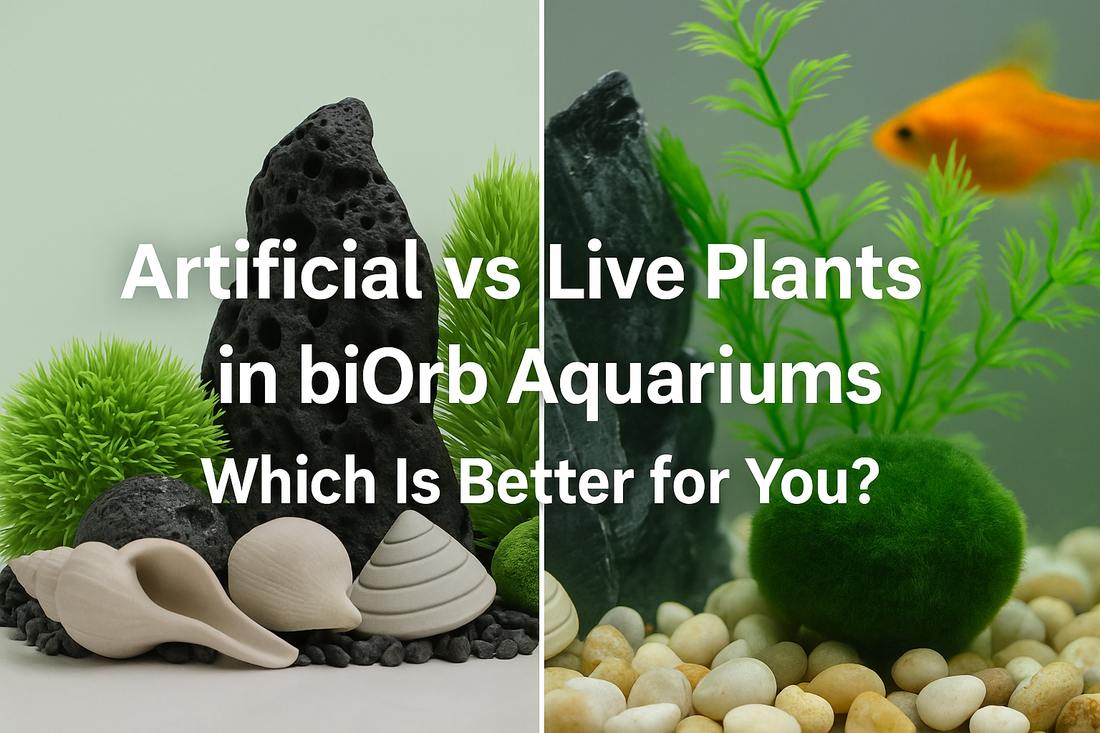 Artificial vs Live Plants in biOrb Aquariums: Which Is Better for You?