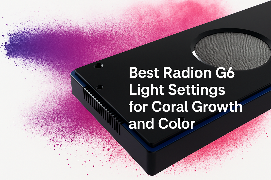 Best Radion G6 Light Settings for Coral Growth and Color