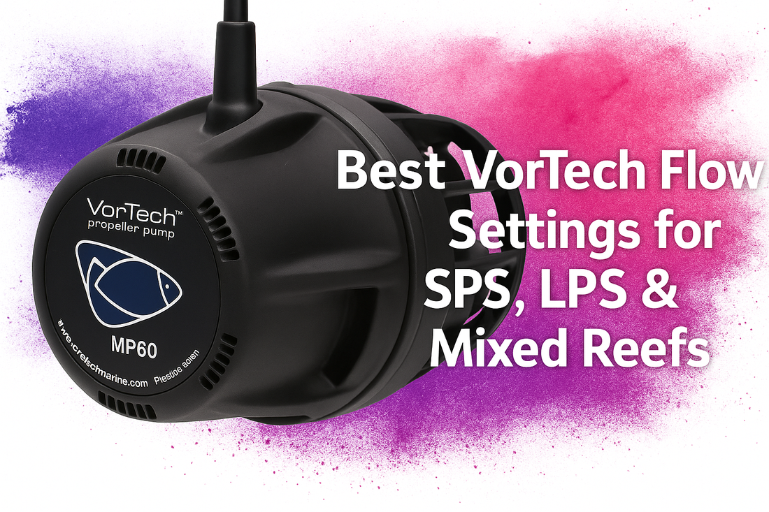 Best VorTech Flow Settings for SPS, LPS & Mixed Reefs