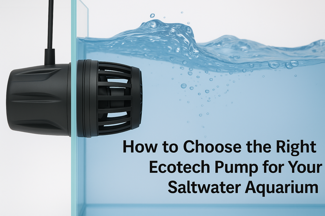 How to Choose the Right Ecotech Pump for Your Saltwater Aquarium