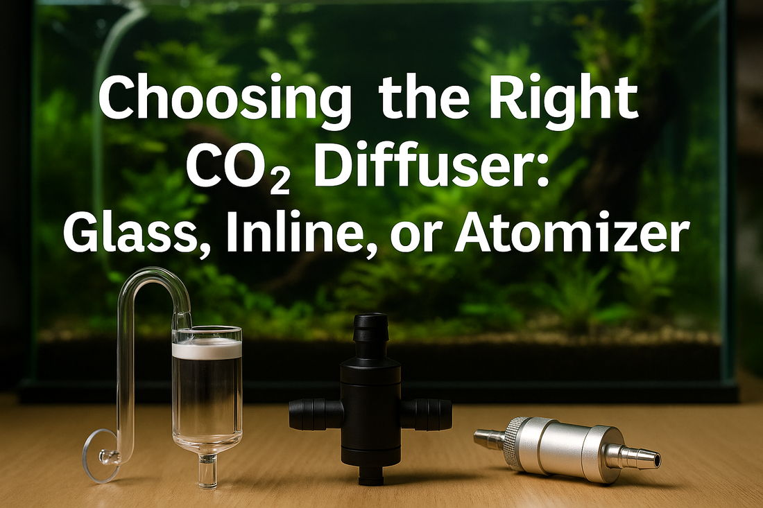 Choosing the Right CO₂ Diffuser: Glass, Inline, or Atomizer?