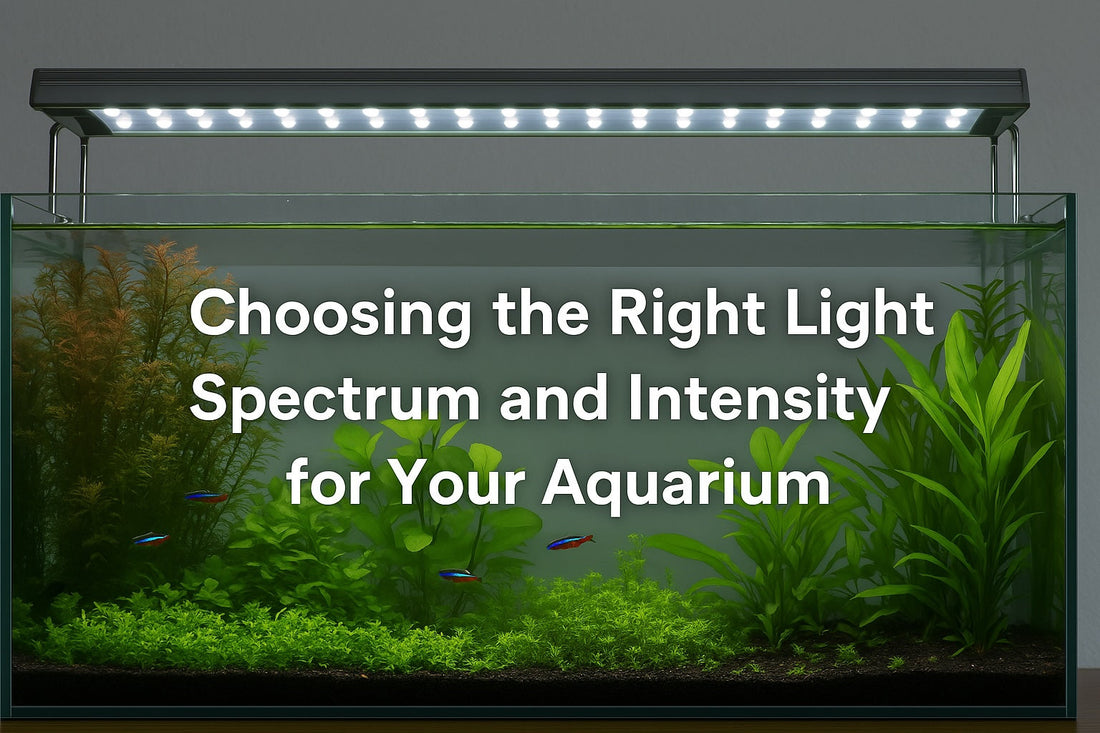 Choosing the Right Light Spectrum and Intensity for Your Aquarium