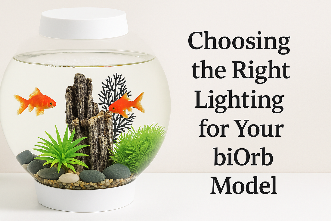Choosing the Right Lighting for Your biOrb Model