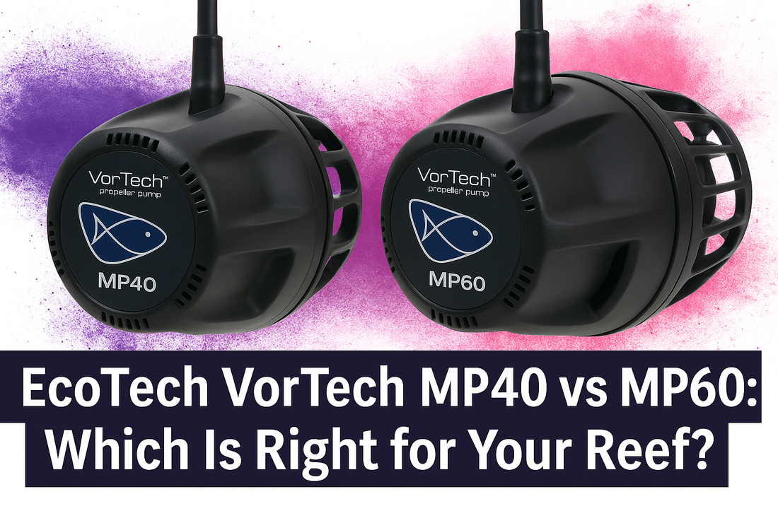 EcoTech VorTech MP40 vs MP60: Which Is Right for Your Reef?