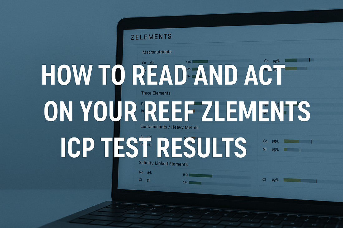 How to Read and Act on Your Reef Zlements ICP Test Results