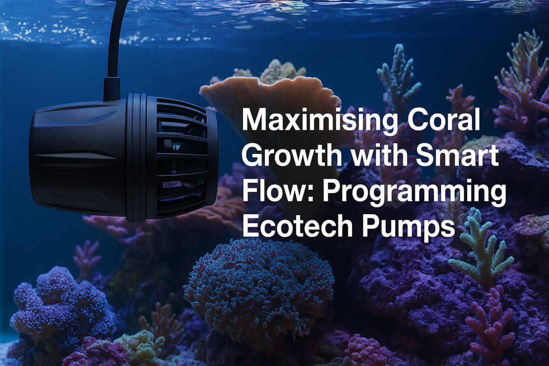 Maximising Coral Growth with Smart Flow: Programming Ecotech Pumps