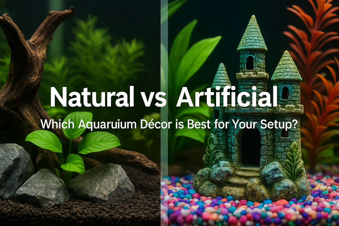 Natural vs Artificial: Which Aquarium Décor is Best for Your Setup?