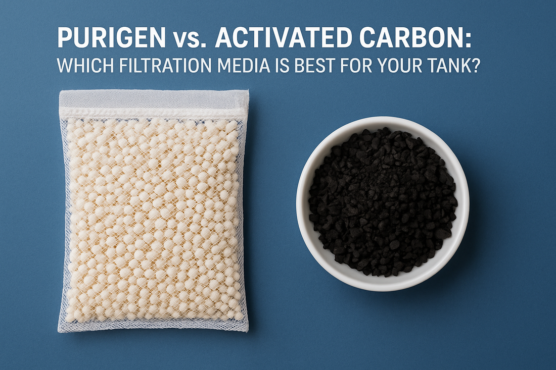 Purigen vs. Activated Carbon: Which Filtration Media Is Best for Your Tank?