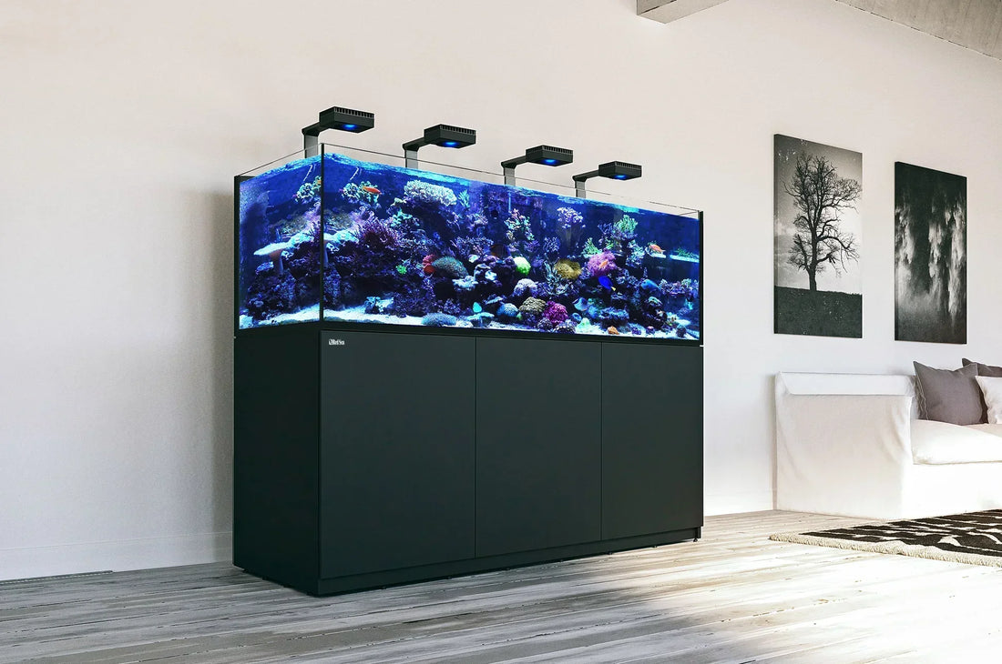 Discover Red Sea Aquatics: Innovation for Reef Enthusiasts