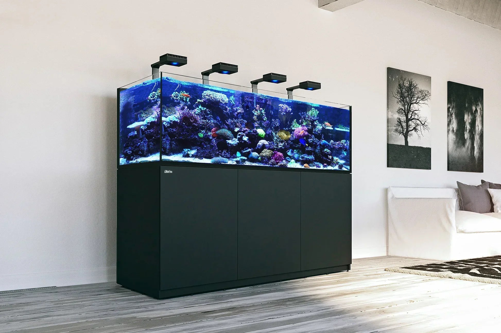 Discover Red Sea Aquatics: Innovation for Reef Enthusiasts