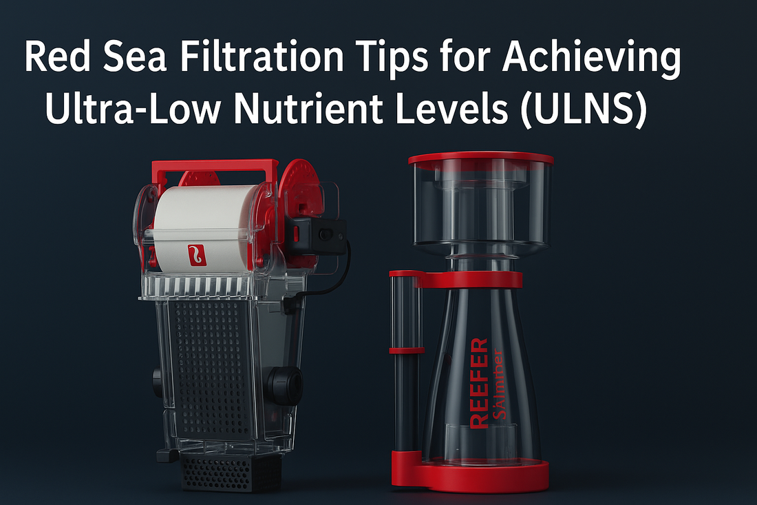 Red Sea Filtration Tips for Achieving Ultra-Low Nutrient Levels (ULNS)