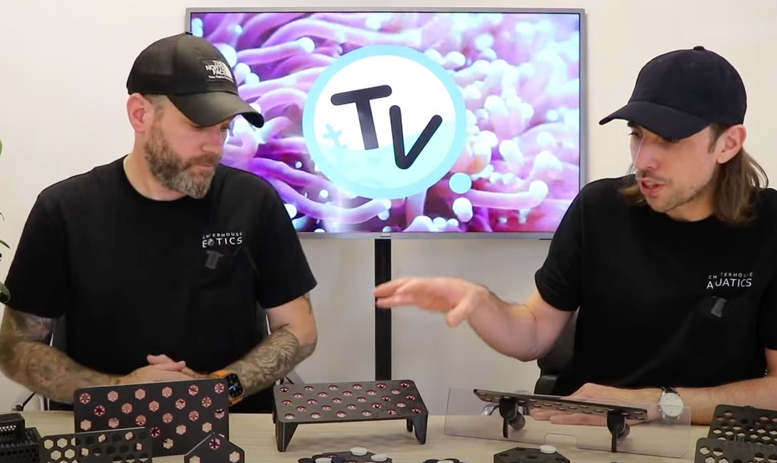 Charterhouse 3D Magnetic Frag Racks ARE HERE! - Charterhouse TV