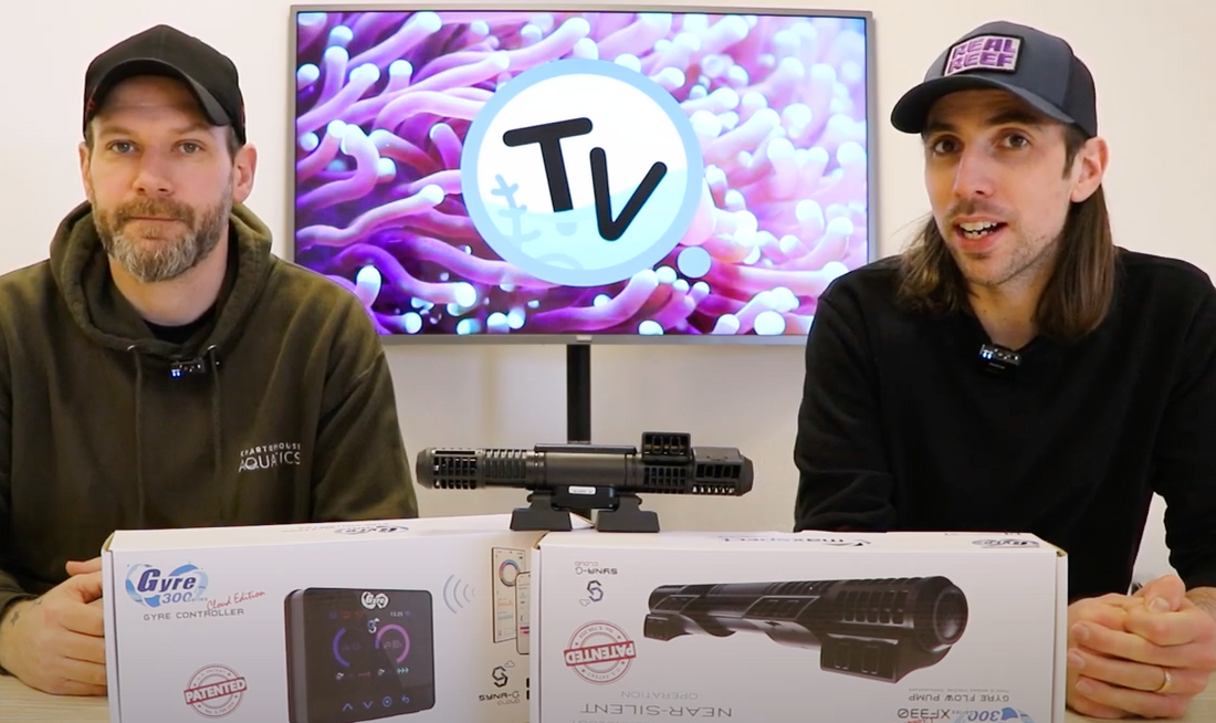 Introducing the Maxspect Gyre 300 Cloud Edition Pumps - Charterhouse TV