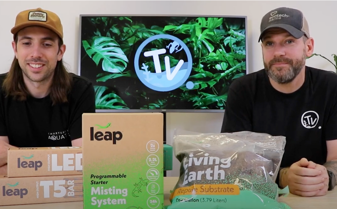 Introducing Leap - Smarter, Better Habitats - Charterhouse TV