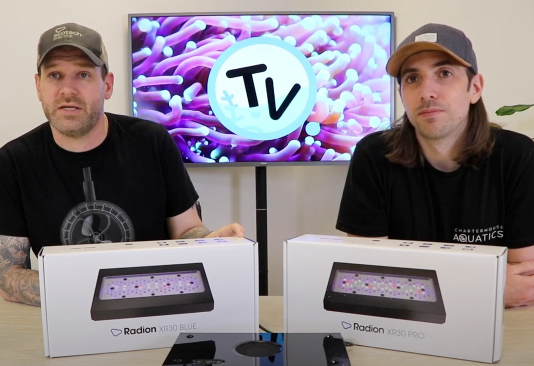 WIDE COLOUR! Introducing the Ecotech Radion G6 (Pro & Blue)