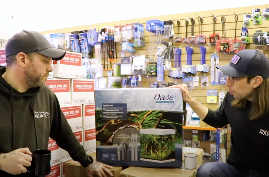 Simple & Easy Freshwater Planted Aquarium - PART 1 - Charterhouse TV