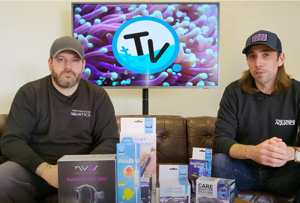 TOP 5 AQUARIUM ACCESSORIES - Charterhouse TV