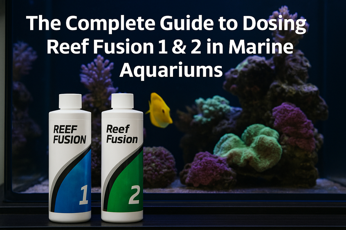 The Complete Guide to Dosing Reef Fusion 1 & 2 in Marine Aquariums