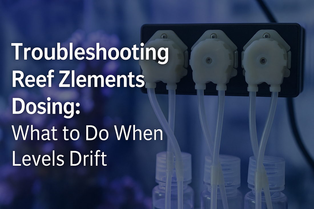 Troubleshooting Reef Zlements Dosing: What to Do When Levels Drift