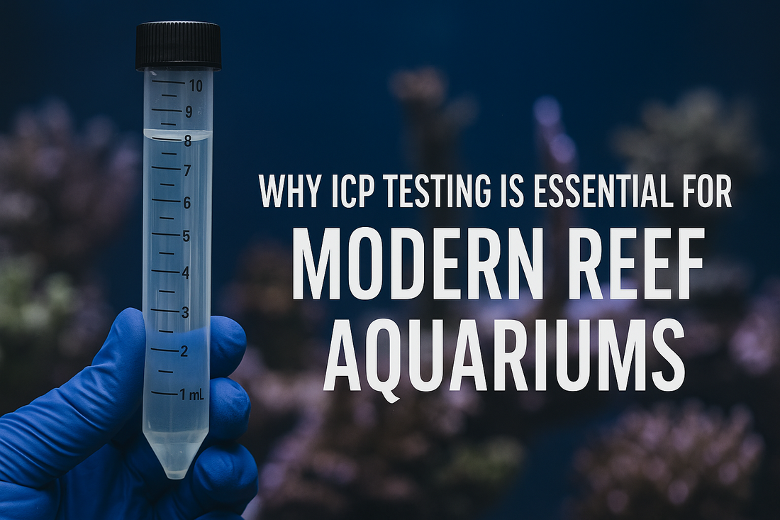 Why ICP Testing is Essential for Modern Reef Aquariums