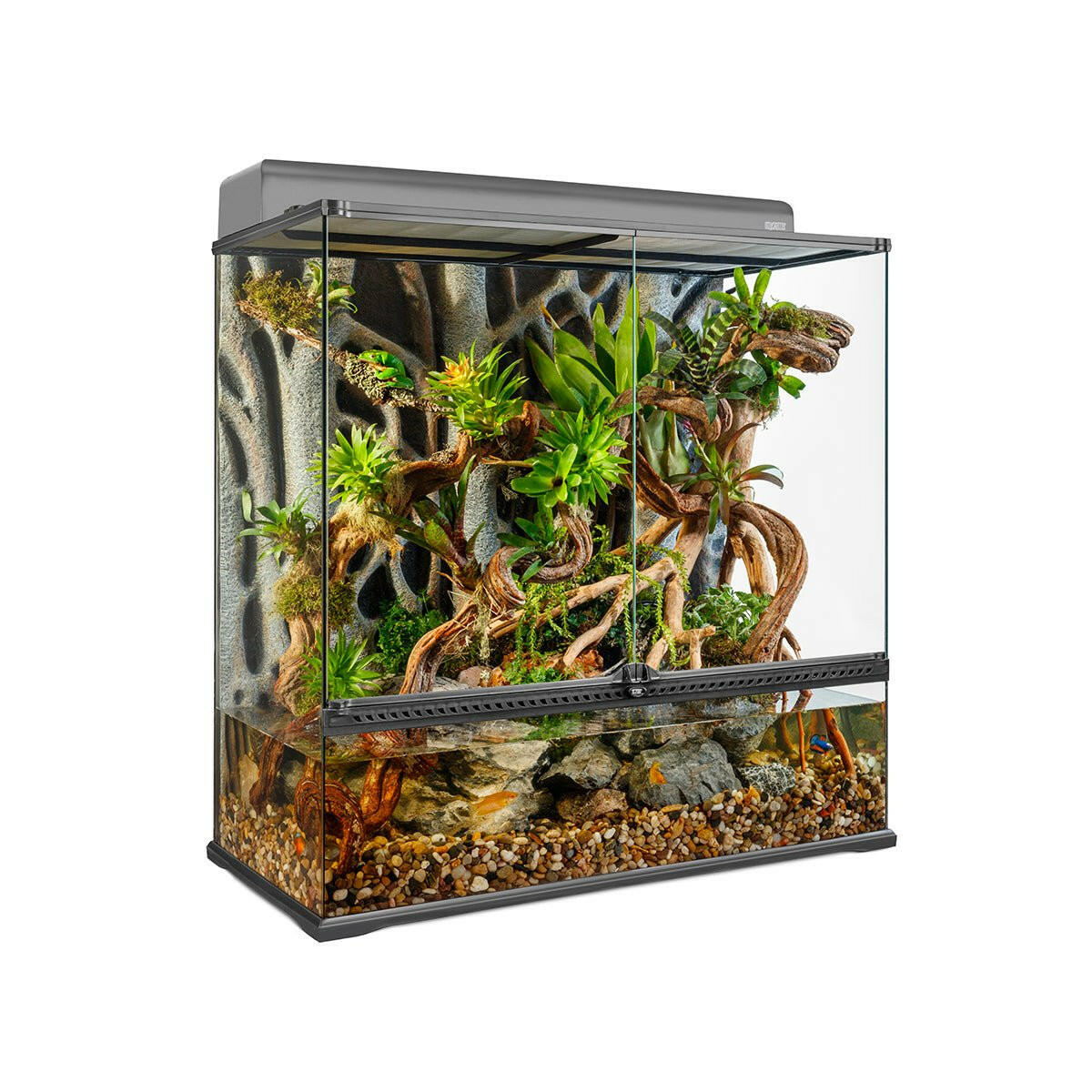 Paludariums