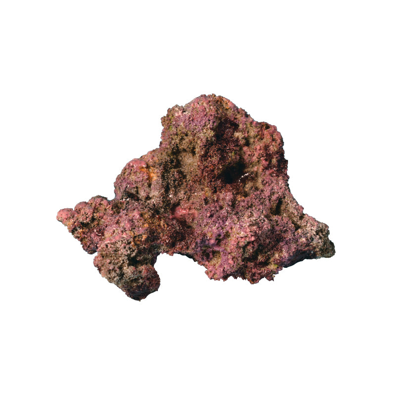 TMC EcoReef Rock