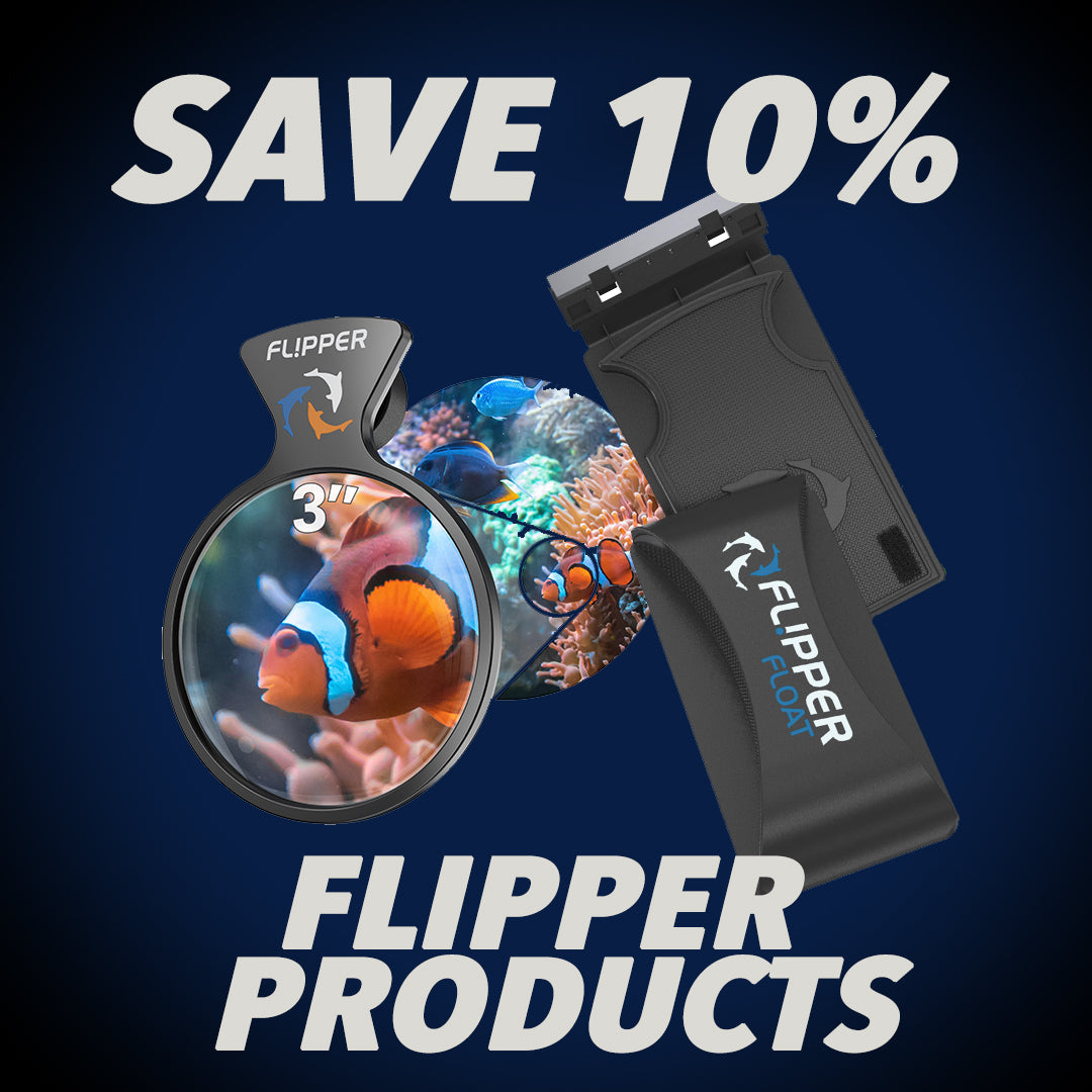 Flipper