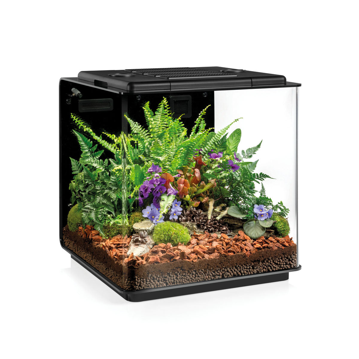 Reptile Housing
