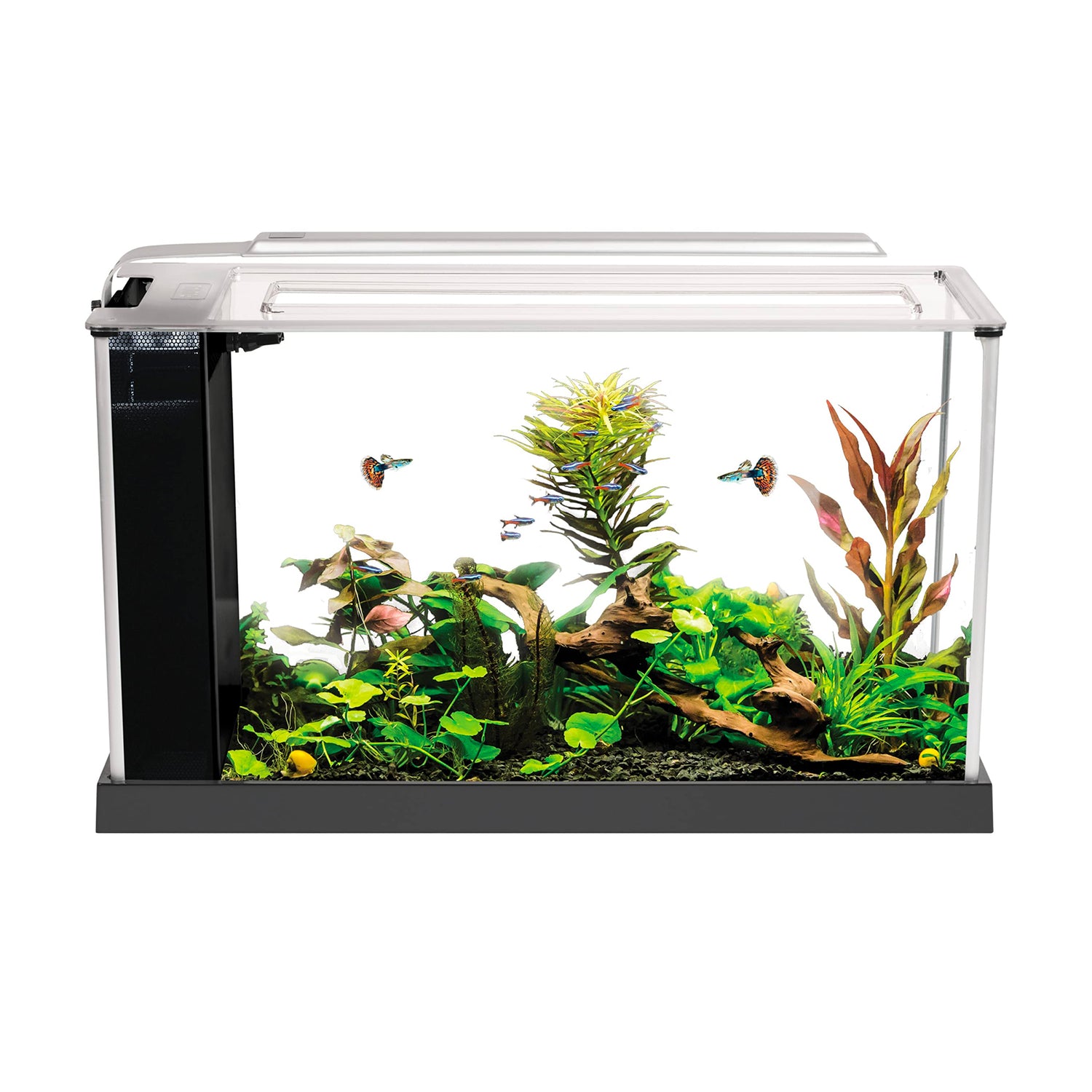 Fluval Spec