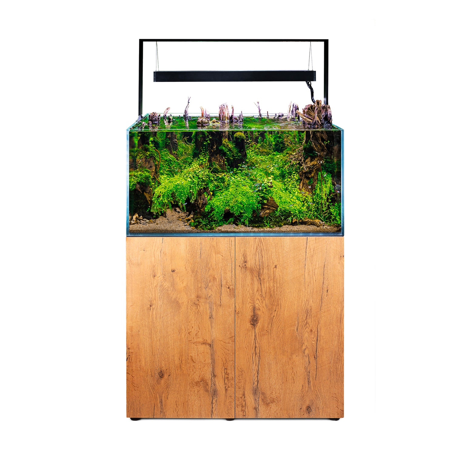 Aquael Ultrascape