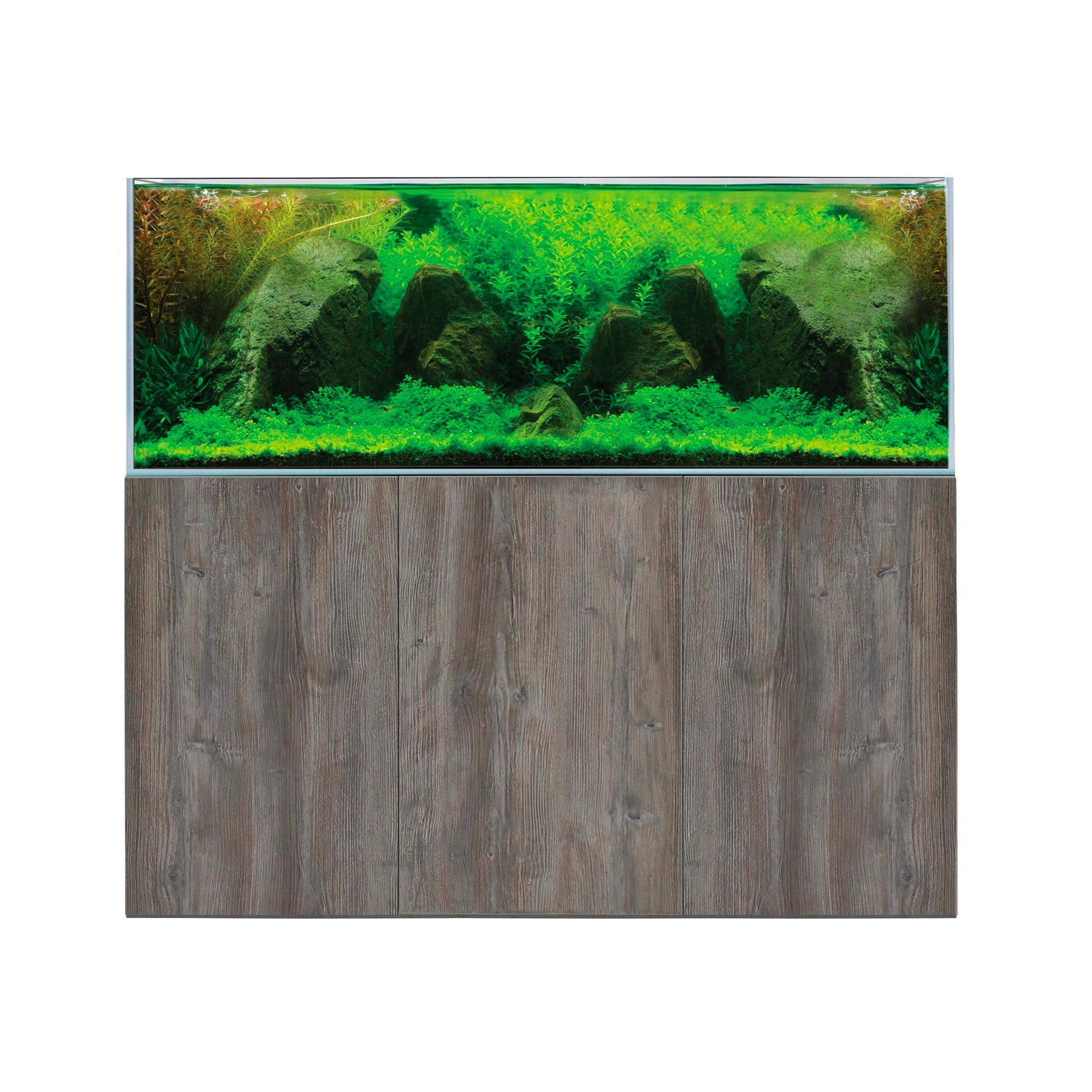Freshwater Aquariums