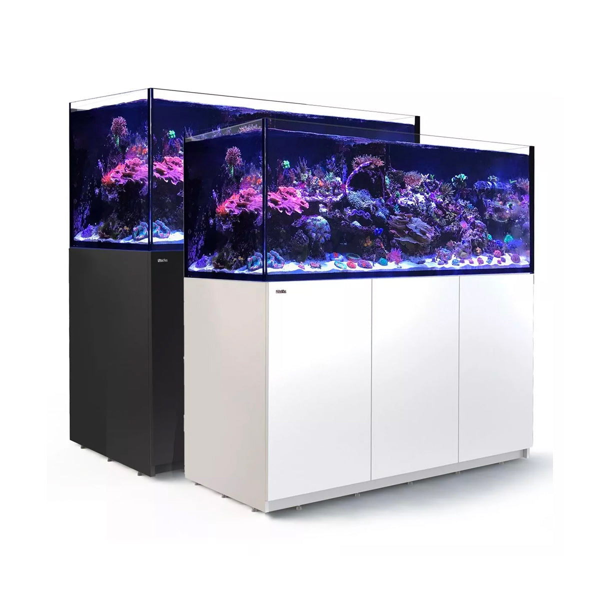 Reef Aquariums