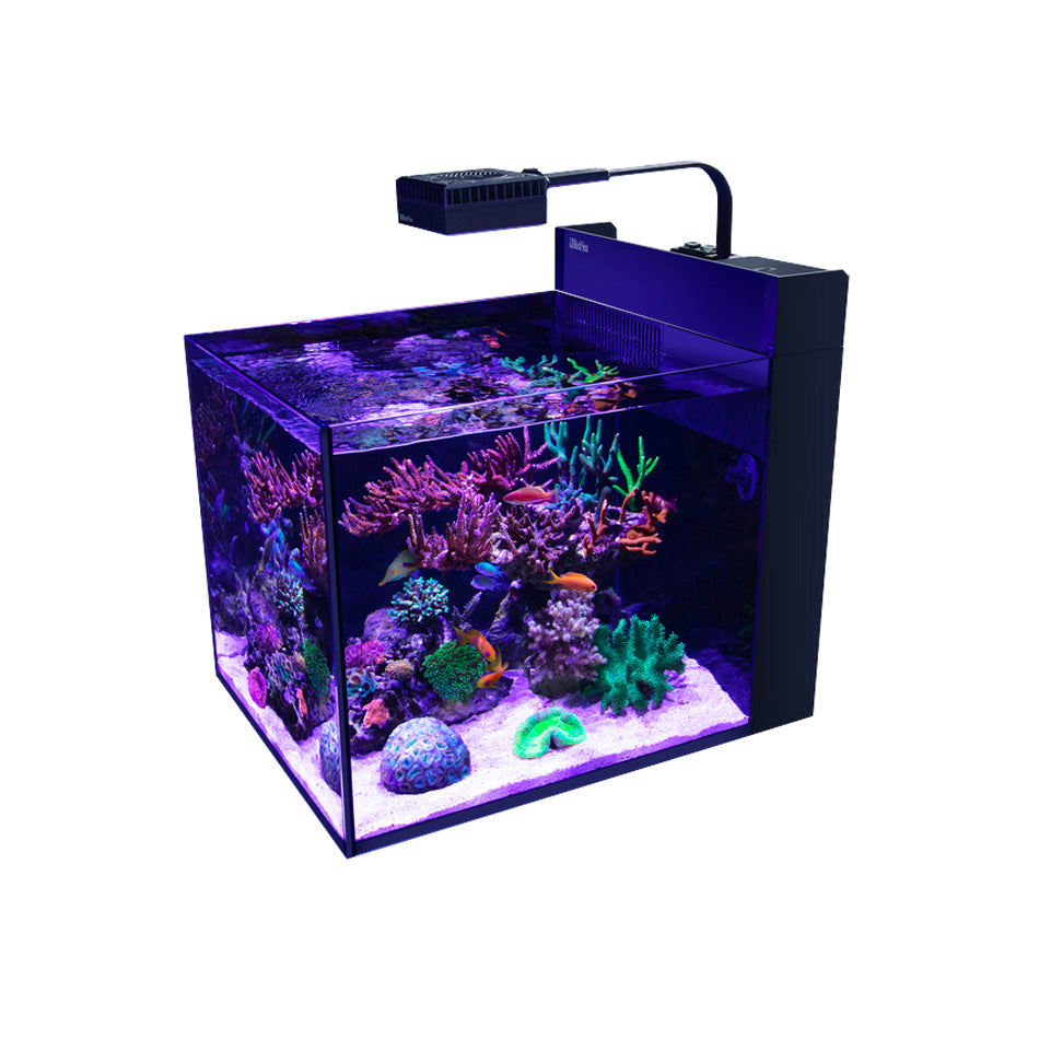 Red Sea Max Nano