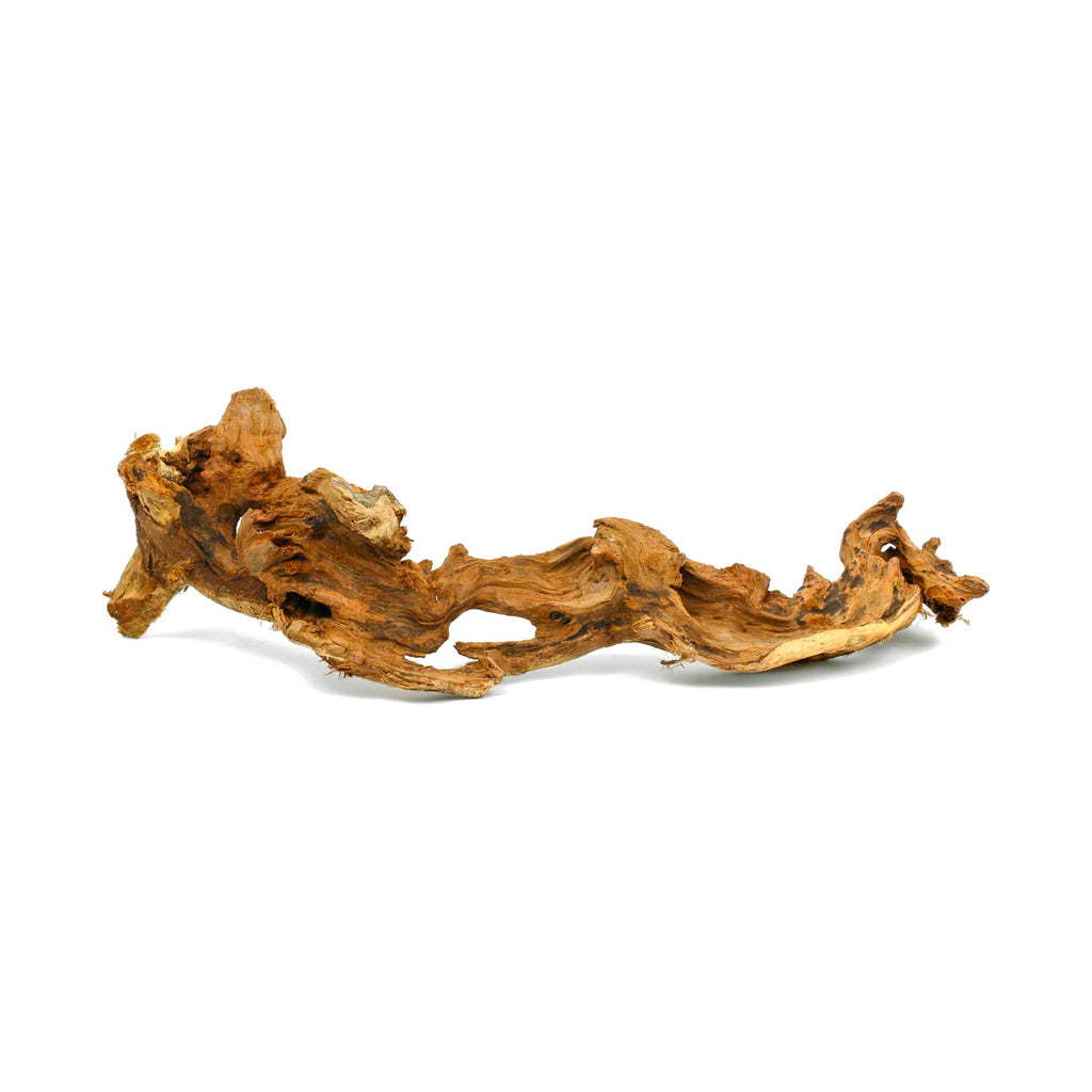 Bioactive Wood