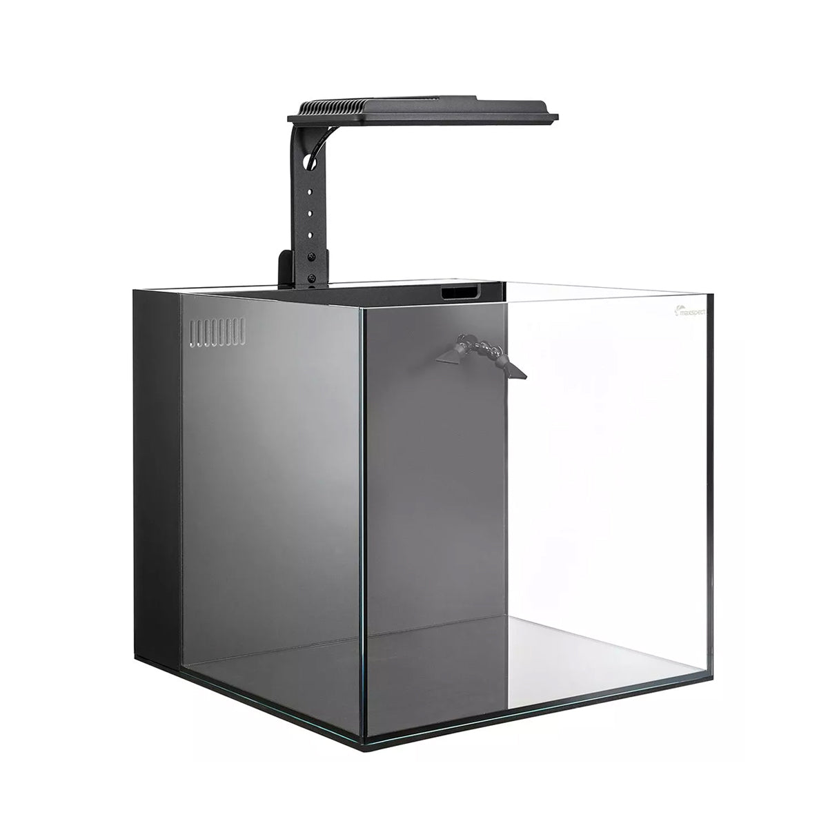 Maxspect Aquariums