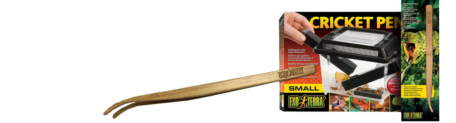 Reptile Tools and Equipment