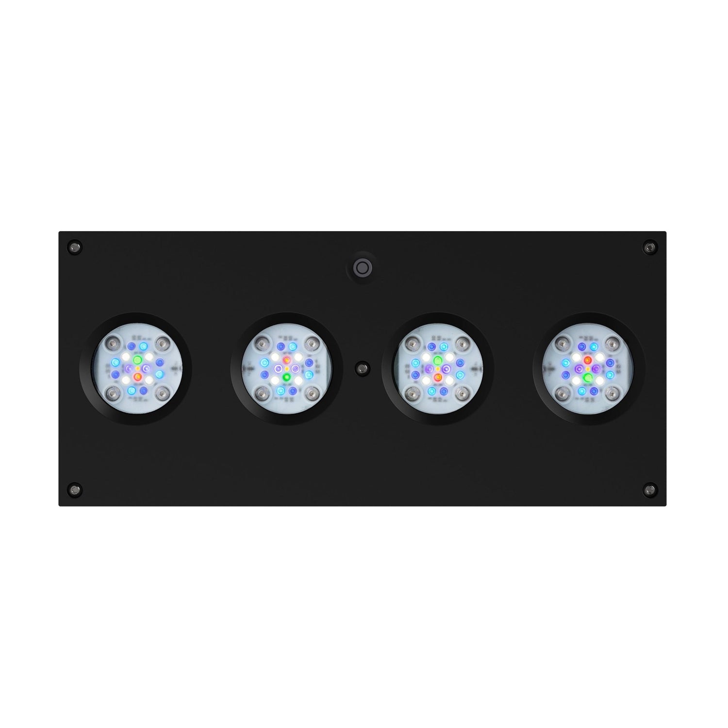 Aqua Illumination - Charterhouse Aquatics